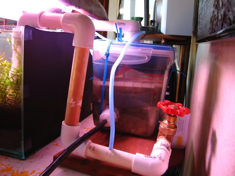 DIY canister filter The Planted Tank Forum